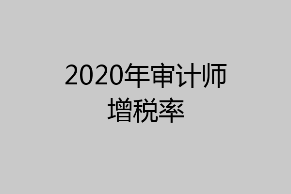 2020年审计师增税率