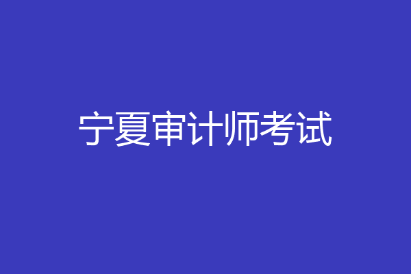 宁夏审计师考试