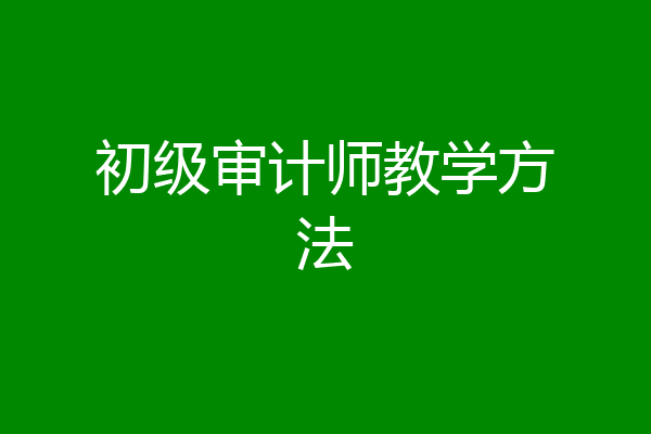 初级审计师教学方法