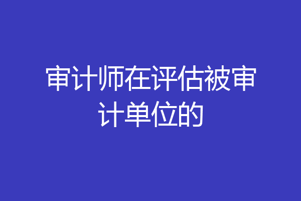 审计师在评估被审计单位的