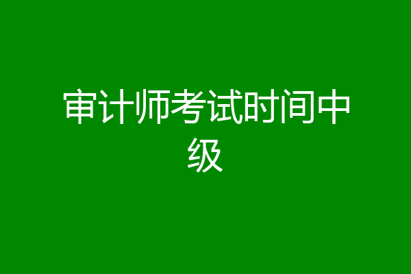 审计师考试时间中级
