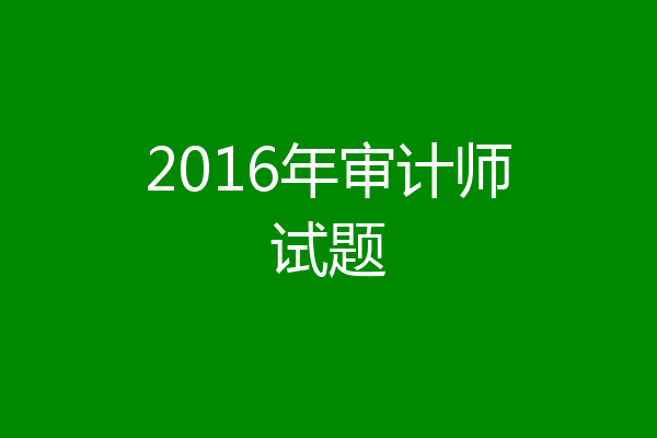 2016年审计师试题