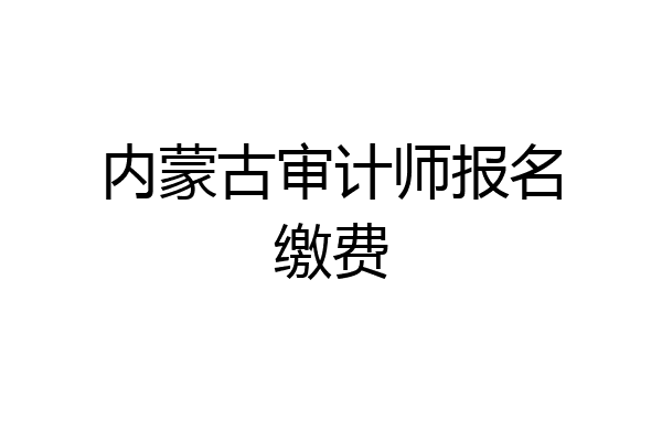 内蒙古审计师报名缴费