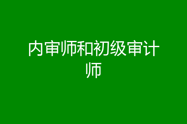 内审师和初级审计师