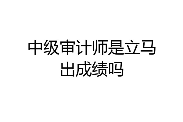 中级审计师是立马出成绩吗