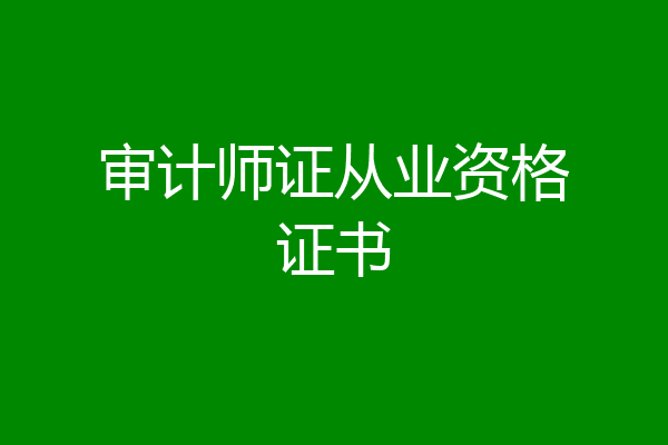 审计师证从业资格证书