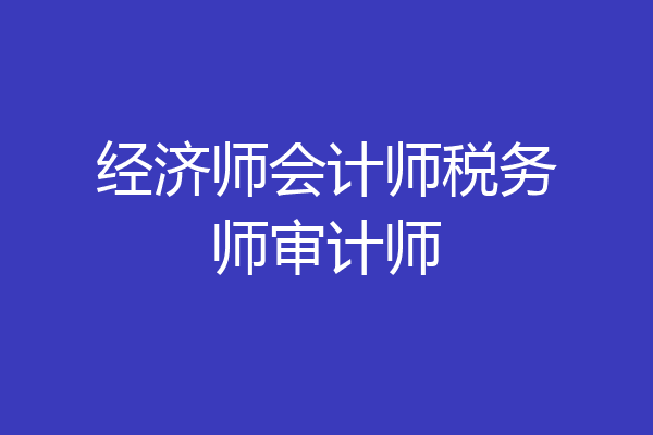 经济师会计师税务师审计师