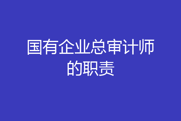 国有企业总审计师的职责