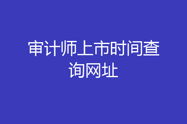 审计师上市时间查询网址