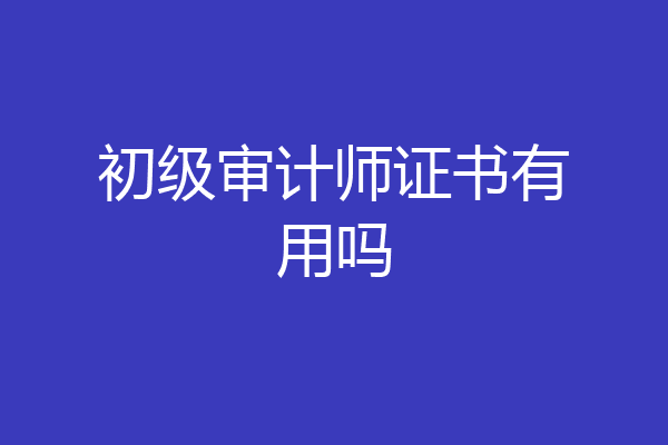 初级审计师证书有用吗