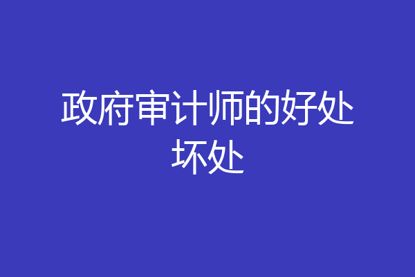 政府审计师的好处坏处