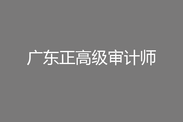 广东正高级审计师