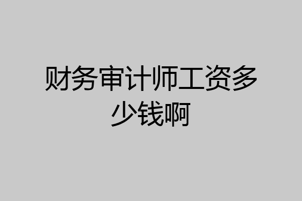 财务审计师工资多少钱啊