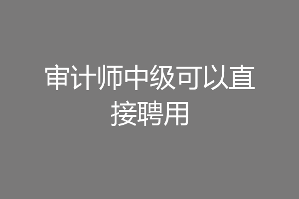 审计师中级可以直接聘用