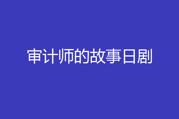 审计师的故事日剧
