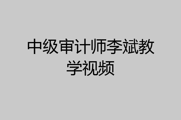 中级审计师李斌教学视频