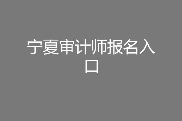 宁夏审计师报名入口