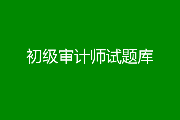 初级审计师试题库