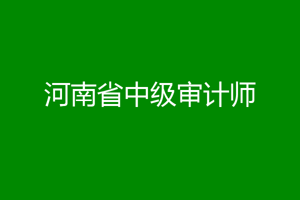 河南省中级审计师