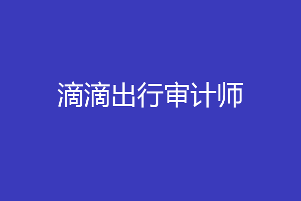 滴滴出行审计师