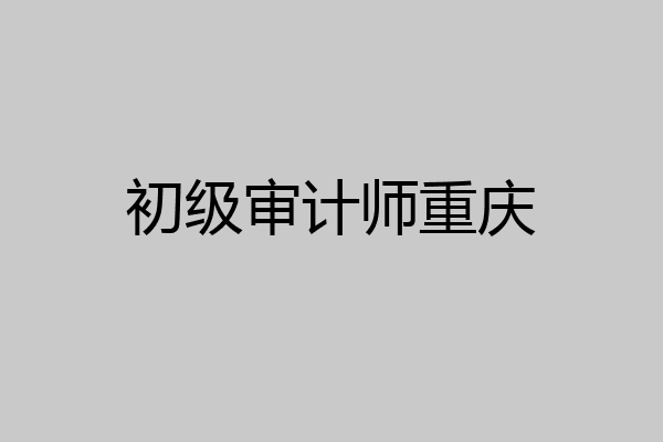 初级审计师重庆