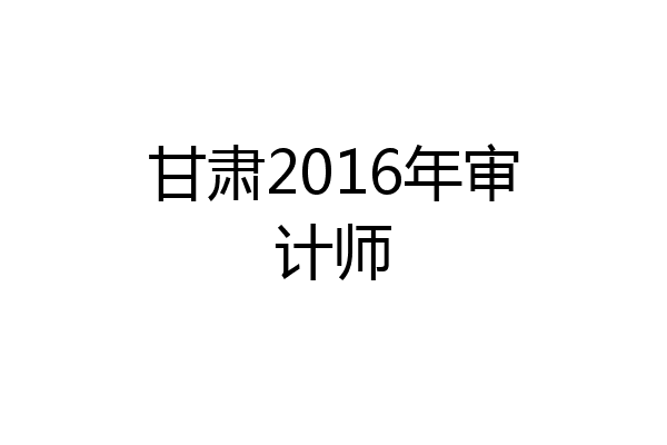 甘肃2016年审计师