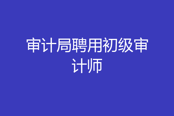 审计局聘用初级审计师