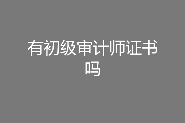 有初级审计师证书吗
