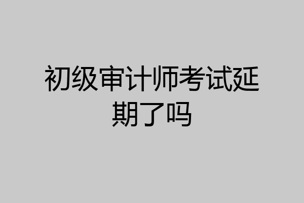 初级审计师考试延期了吗