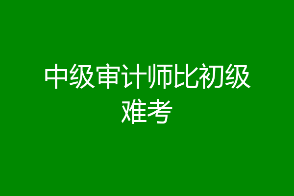 中级审计师比初级难考