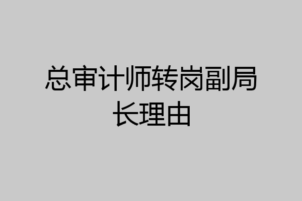 总审计师转岗副局长理由