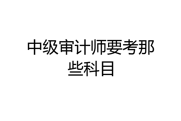 中级审计师要考那些科目