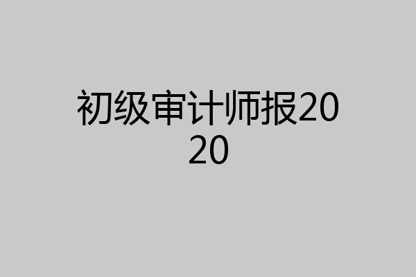 初级审计师报2020