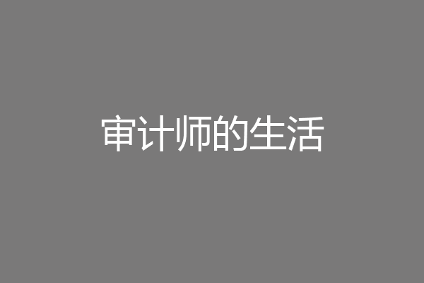 审计师的生活