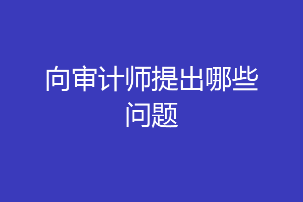 向审计师提出哪些问题