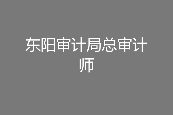 东阳审计局总审计师
