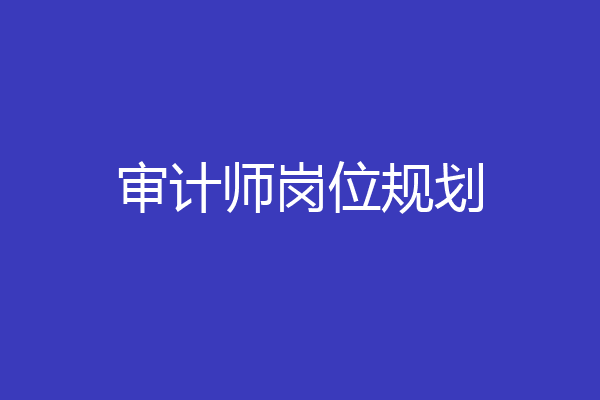 审计师岗位规划