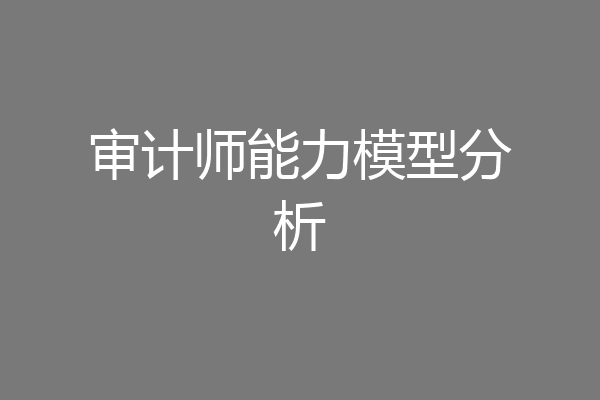 审计师能力模型分析