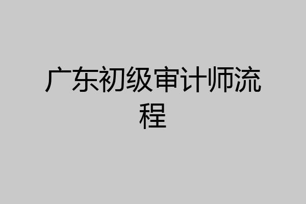 广东初级审计师流程