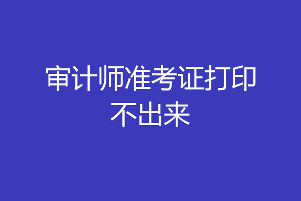 审计师准考证打印不出来