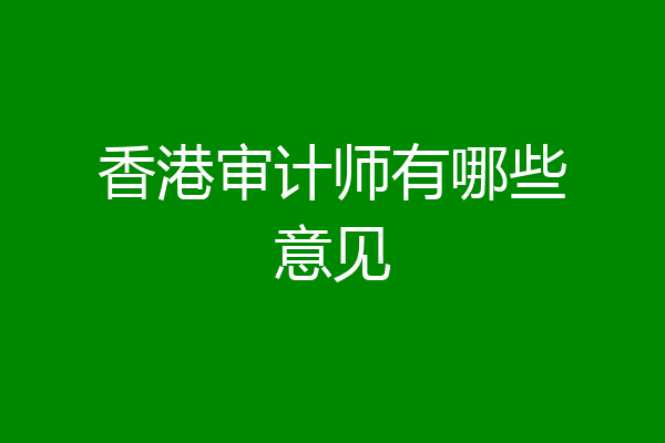香港审计师有哪些意见
