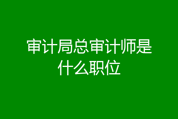 审计局总审计师是什么职位