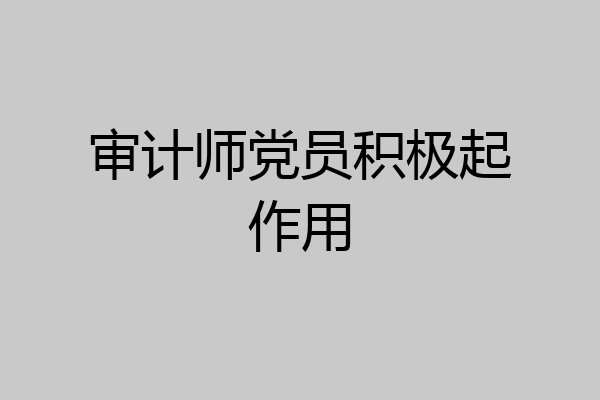 审计师党员积极起作用
