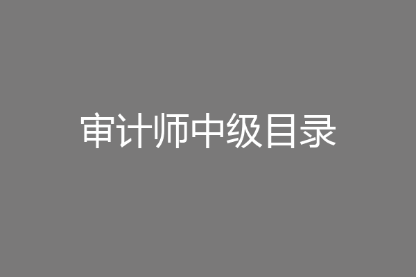 审计师中级目录