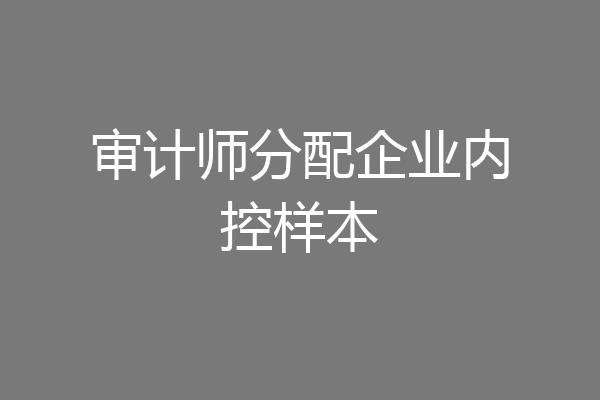 审计师分配企业内控样本