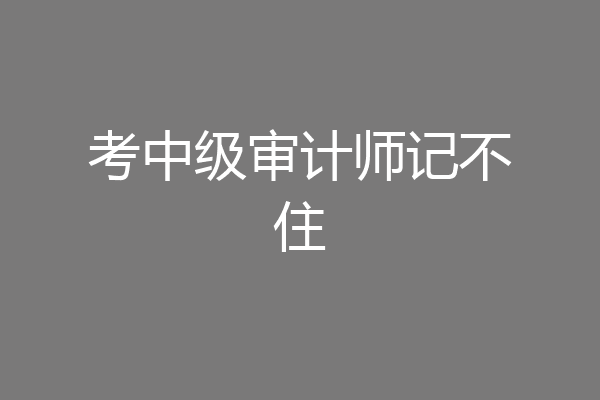 考中级审计师记不住