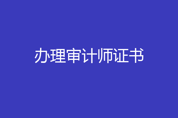 办理审计师证书