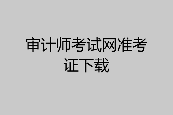 审计师考试网准考证下载
