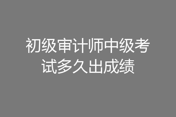 初级审计师中级考试多久出成绩
