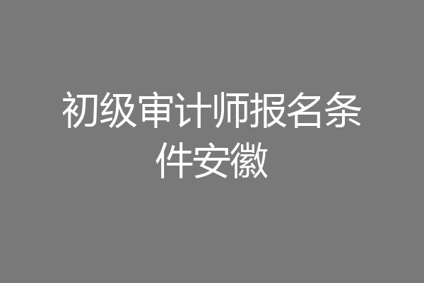 初级审计师报名条件安徽